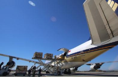 青島國際物理與貨運代理公司有什么不同？