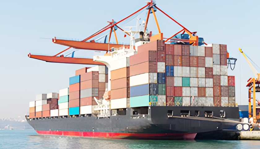 天津國際海運貨代